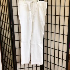 NWT loft pants.